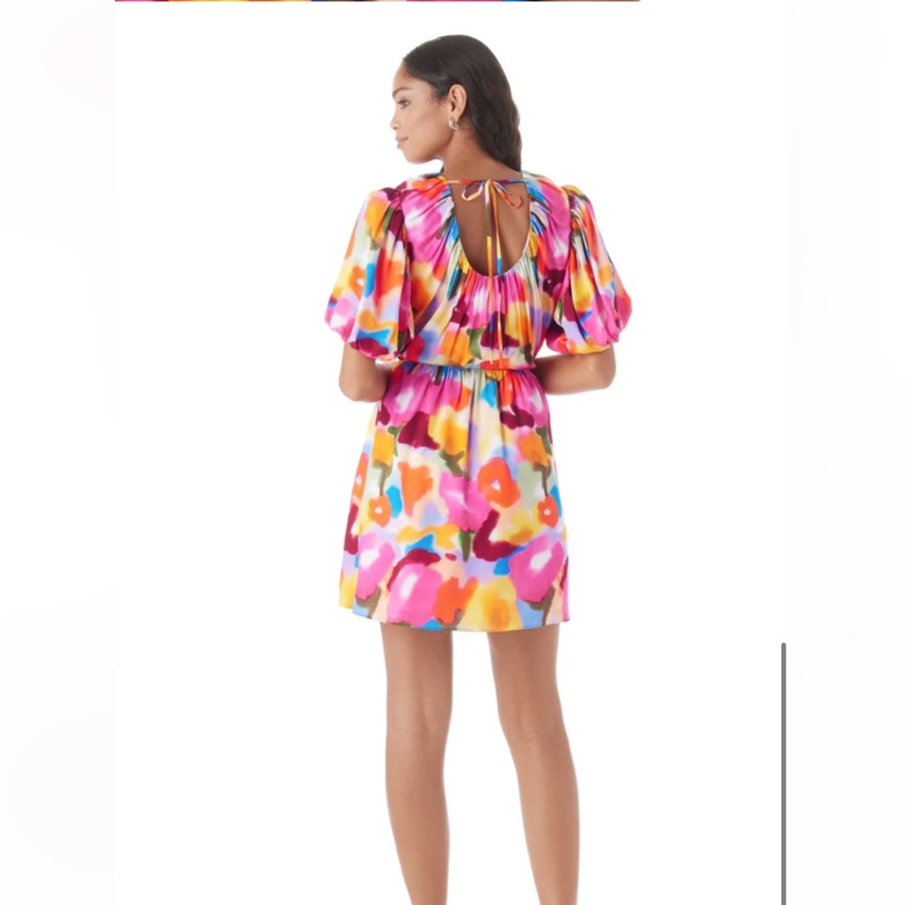 Crosby by Mollie Burch Rainey dress, XS, NWT - Picture 3 of 7